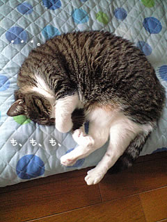 c0035001_14134322.jpg