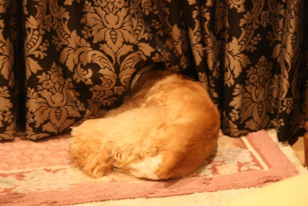 c0128303_23425261.jpg