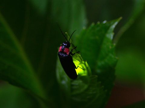 a0212807_047257.jpg