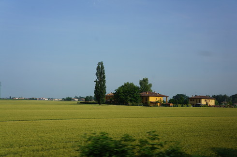 b0238507_2435825.jpg