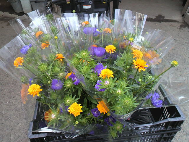 f0127408_12454480.jpg