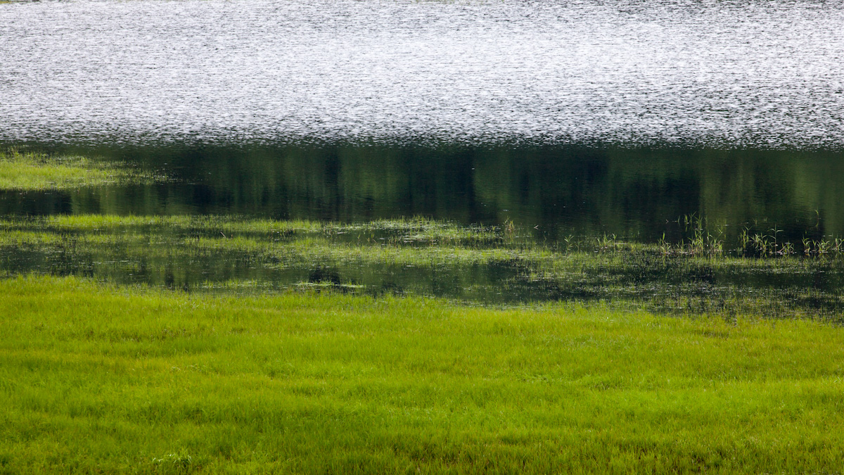 a0157609_839319.jpg