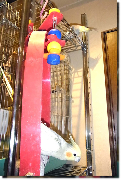 c0133013_140015.jpg