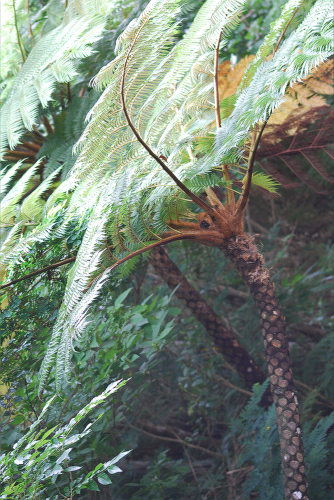 e0123920_002788.jpg