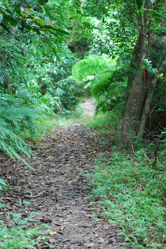 e0123920_0561080.jpg