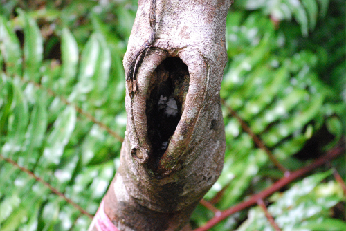 e0123920_0591063.jpg