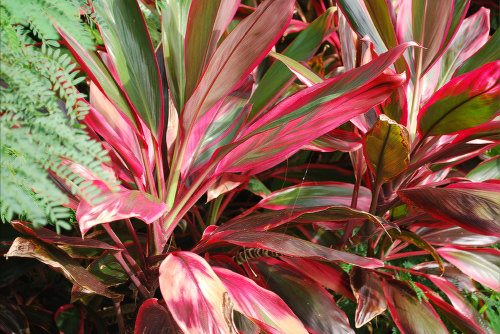 e0123920_103140.jpg