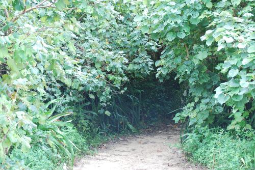 e0123920_19373679.jpg