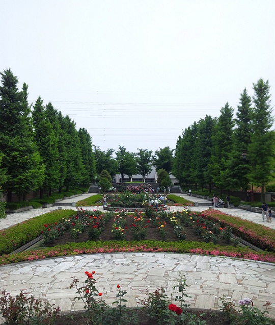 b0199924_13162899.jpg