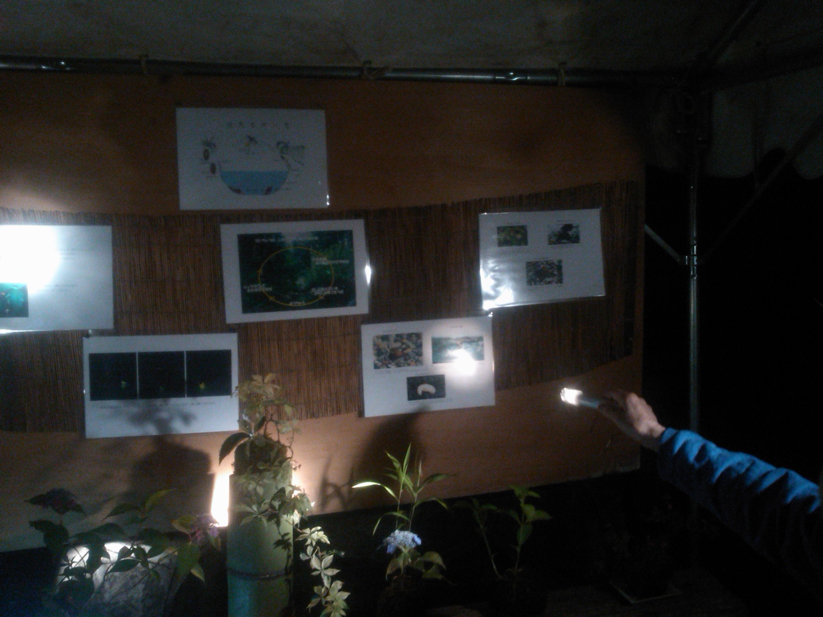 f0111128_0332297.jpg