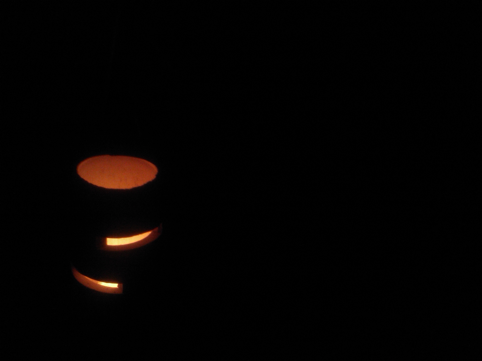 f0111128_0335966.jpg