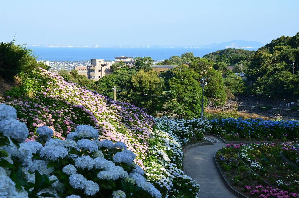 f0124830_1465631.jpg