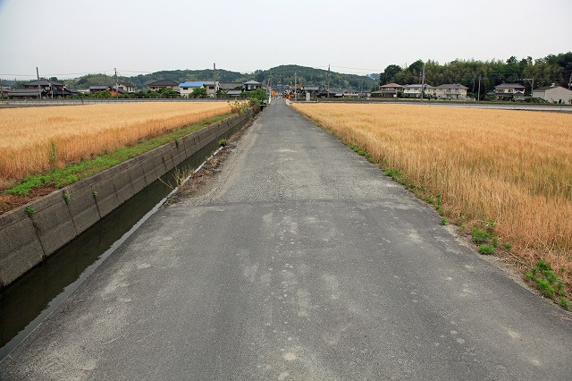 a0242438_2016558.jpg