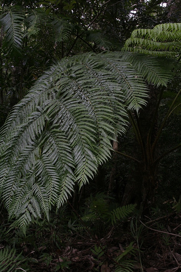 b0060239_23571074.jpg