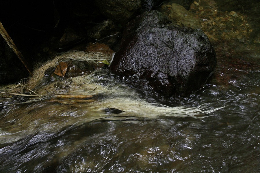 b0060239_23592216.jpg