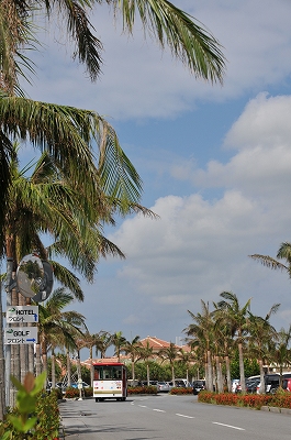 a0182241_15115897.jpg