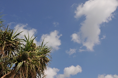 a0182241_1571573.jpg