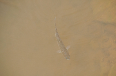 a0182241_2210716.jpg
