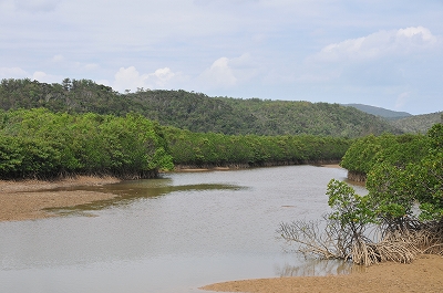 a0182241_225820.jpg
