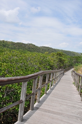 a0182241_226970.jpg