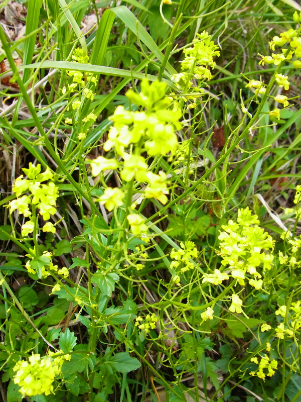b0190242_1817259.jpg
