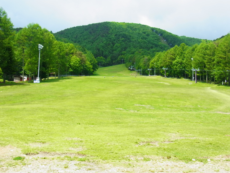 b0190242_18181730.jpg
