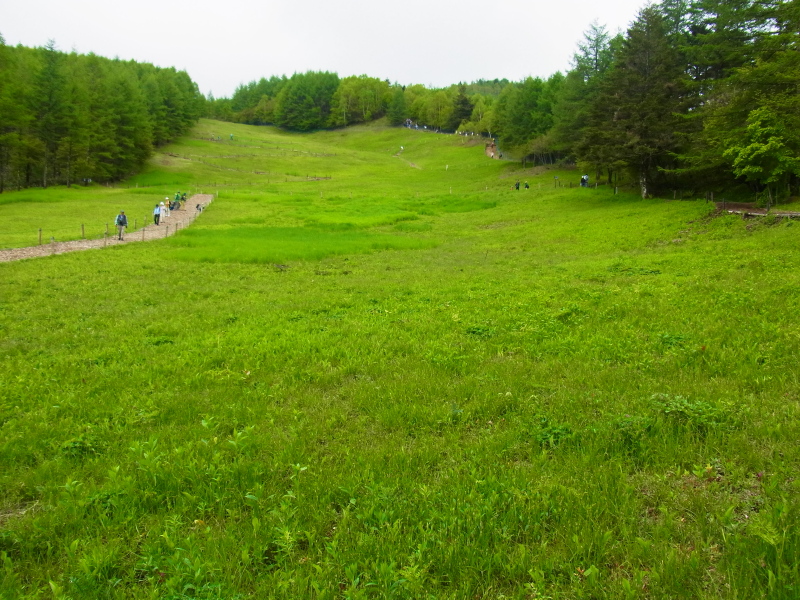 b0190242_18245728.jpg