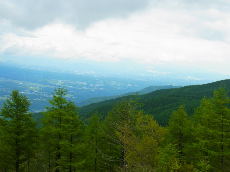 b0190242_1828647.jpg
