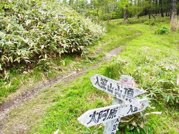 b0190242_18291369.jpg