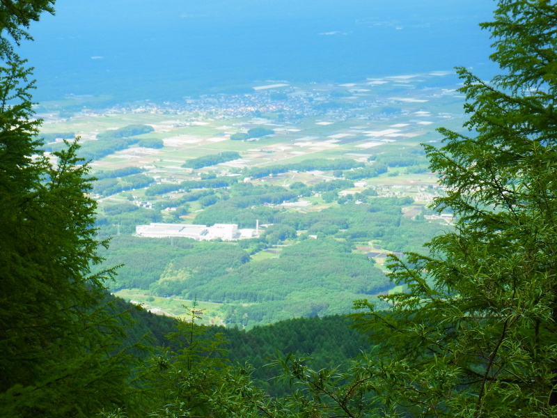 b0190242_18345594.jpg