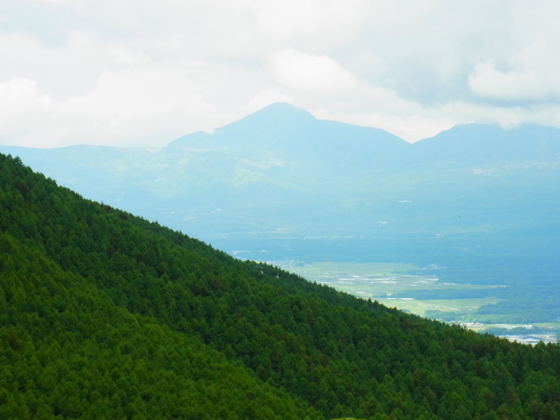 b0190242_1836081.jpg