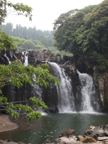 b0199742_2035279.jpg