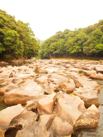b0199742_20394768.jpg