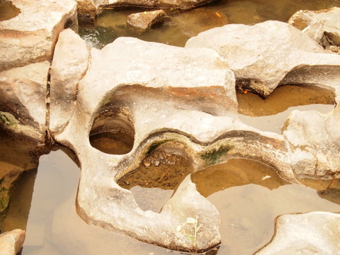 b0199742_20401341.jpg