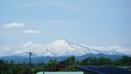 d0154344_1029675.jpg