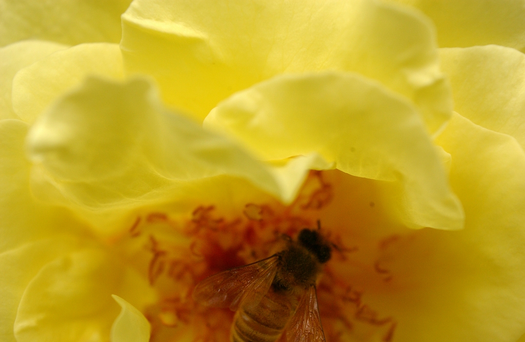 b0029350_6205512.jpg