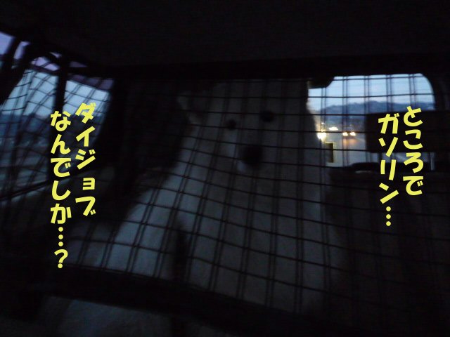 e0176159_16421492.jpg