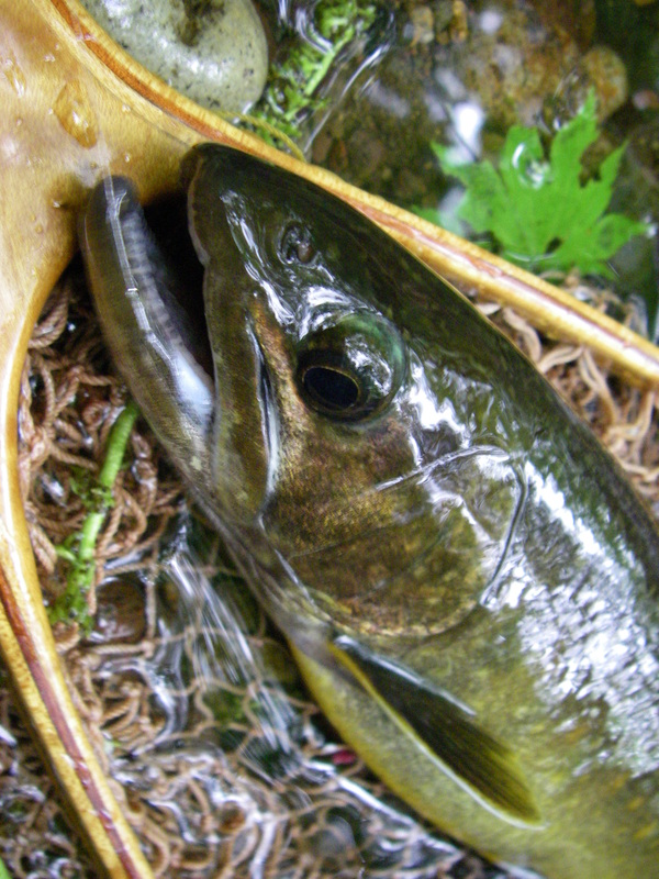 f0212059_2257520.jpg