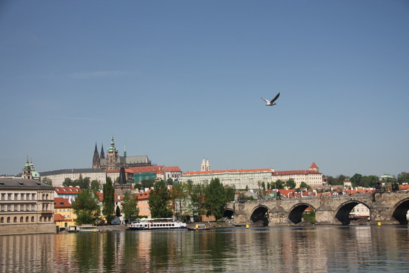 d0221360_20473024.jpg