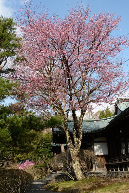 f0222161_21172794.jpg