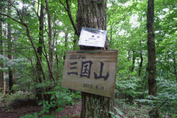 c0019376_17254186.gif