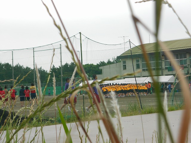 d0143678_23585737.jpg