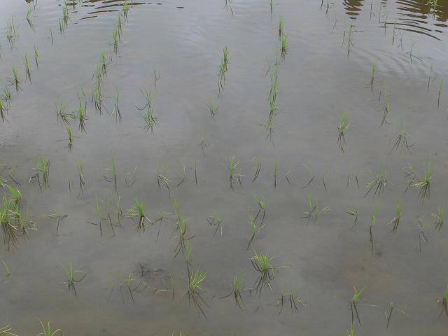 b0042882_23533462.jpg