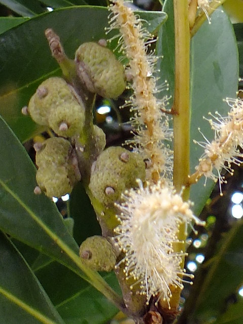 e0145782_1574821.jpg