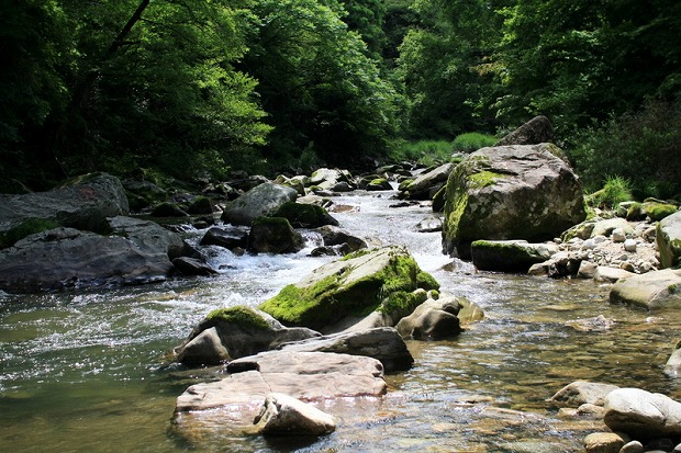 f0238184_0121156.jpg
