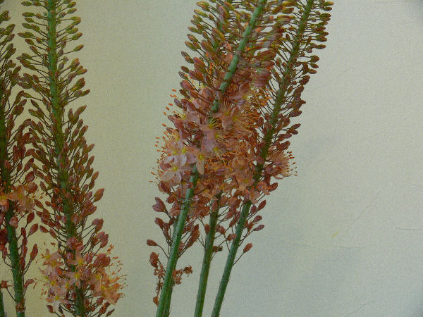 e0140986_10301766.jpg