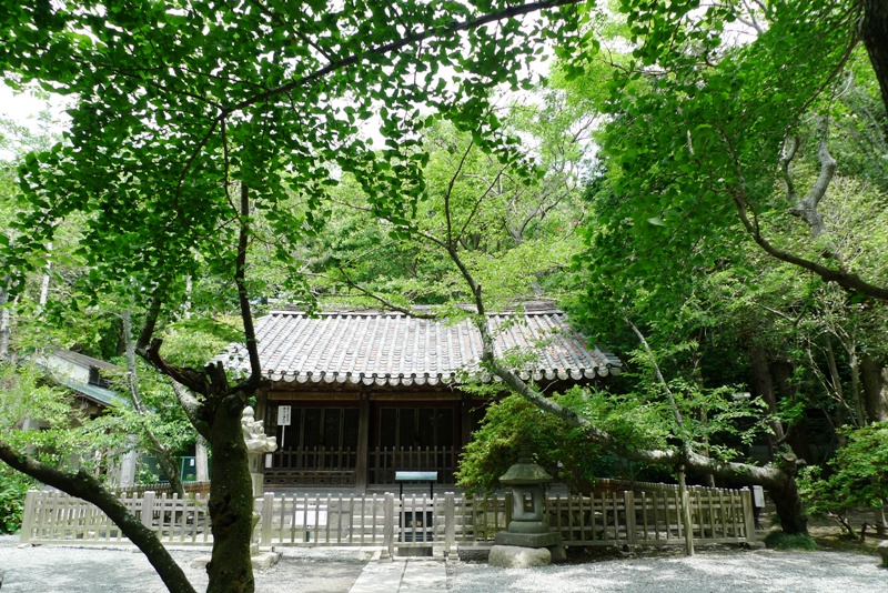 a0127090_20392195.jpg