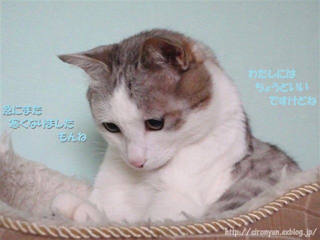 a0159490_14355346.jpg