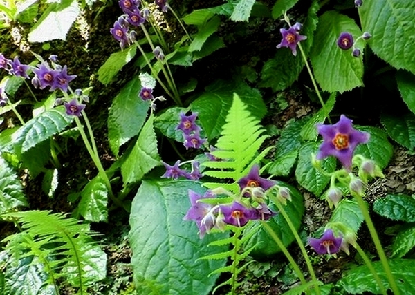 e0143690_15105580.jpg