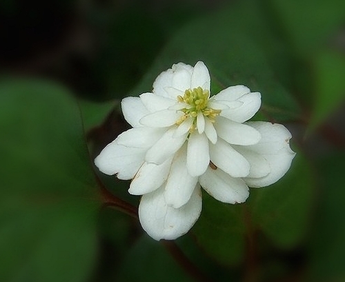 e0143690_151315.jpg